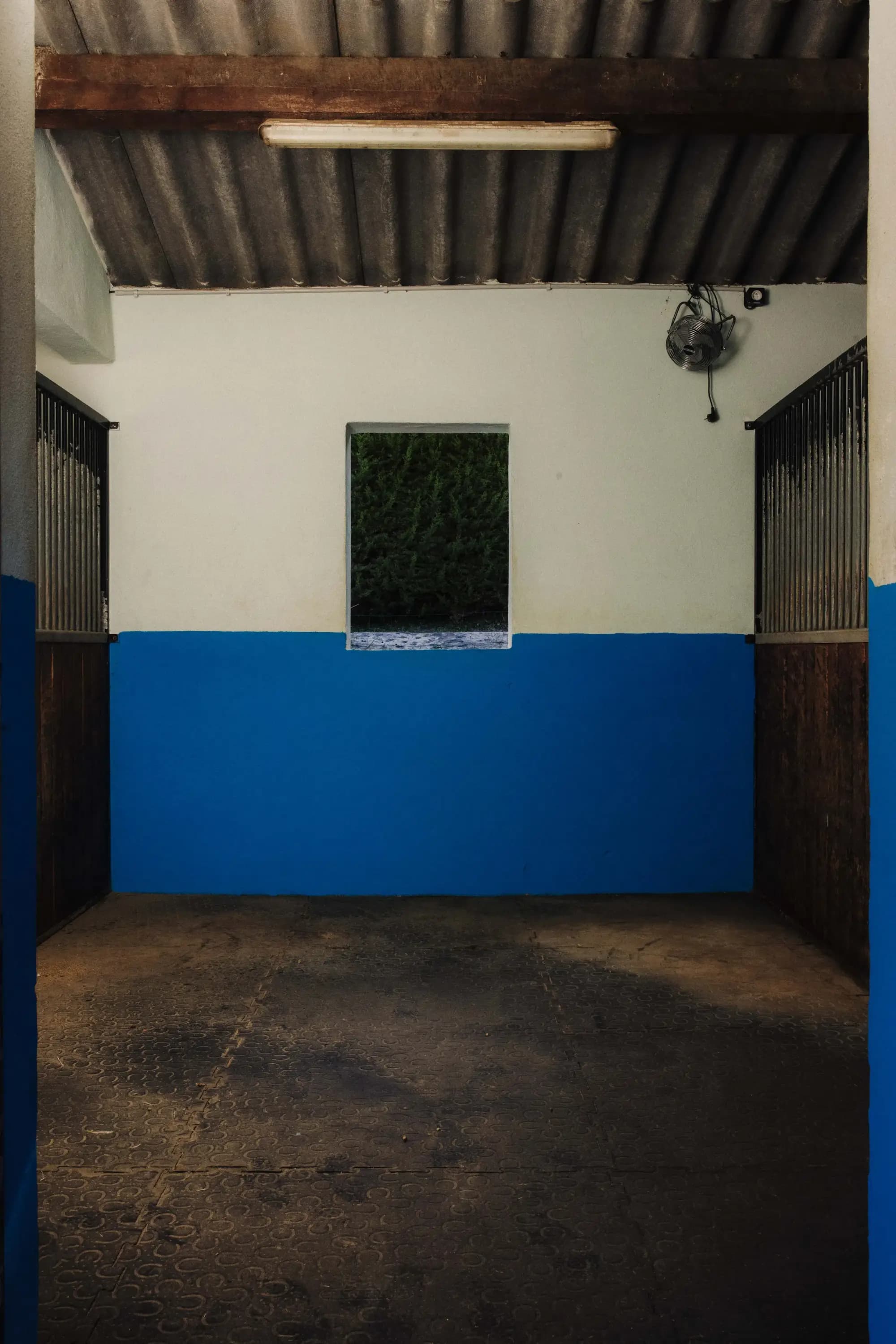 Inside a clean, bright box with rubber flooring and a window